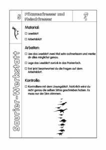 Vorschau themen/urgeschichte-dinos/werkstatt neu/05 Pflanzenfresser und Fleischfresser.pdf